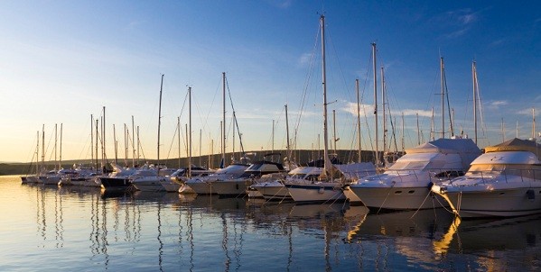 Boats in a marina