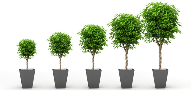 Growing business