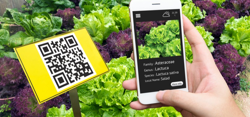 QR codes